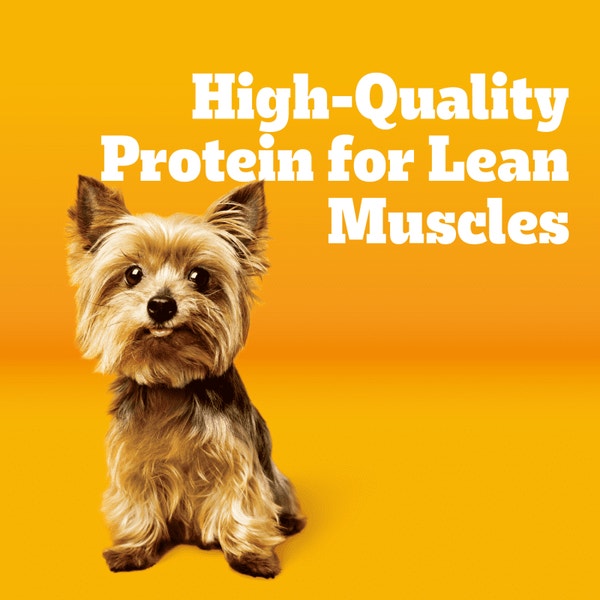 Small Dog Dry Food with TENDER BITES, Chicken & Steak asset 2