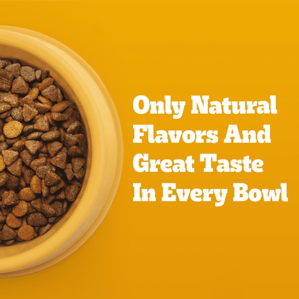 Small Dog Dry Food with TENDER BITES, Chicken & Steak asset 5