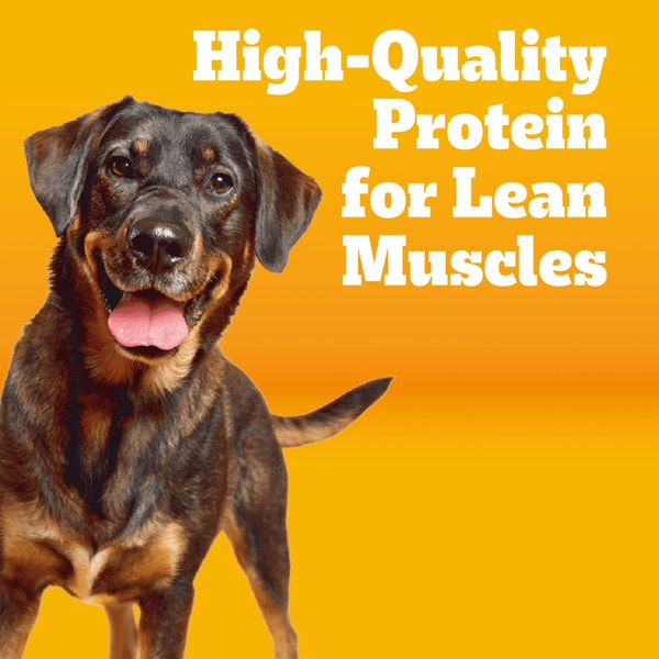 Healthy Weight Adult Dry Dog Food, Roasted Chicken and Vegetable asset 2