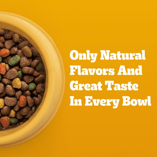 Healthy Weight Adult Dry Dog Food, Roasted Chicken and Vegetable asset 5