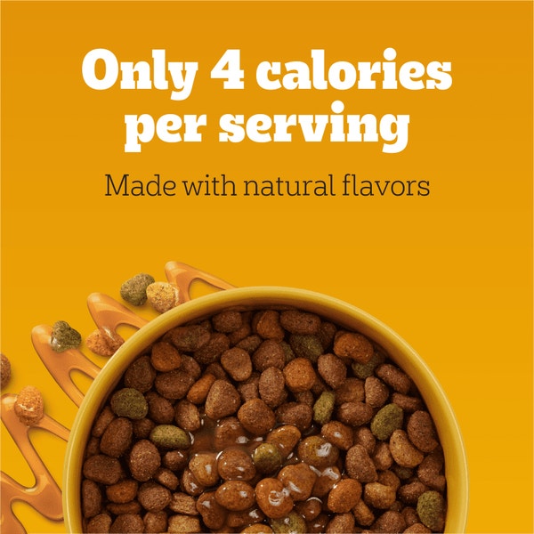 DRIZZLERS Wet Dog Savory Sauce, Natural Turkey asset 2