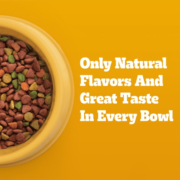 Small Dog Adult Dry Dog Food, Roasted Chicken, Rice & Vegetable asset 5