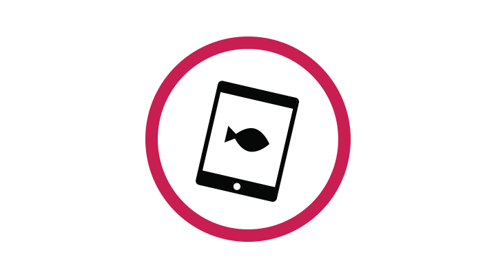 black fish on tablet
