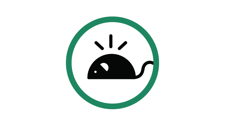 black mouse icon